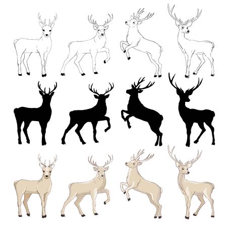deer silhouette and sketch, vector, illustration, animals, set on white background, animals imageのイラスト素材