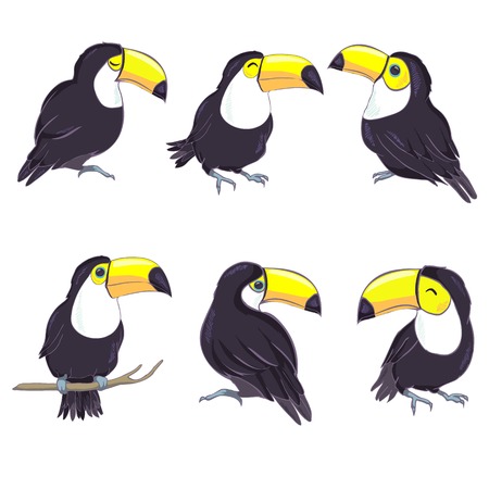 A good illustration of a Toucan in vector format. Cute Toucan bird picture for children's clothing.のイラスト素材