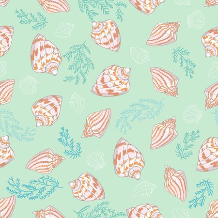 Seashell seamless pattern background.のイラスト素材