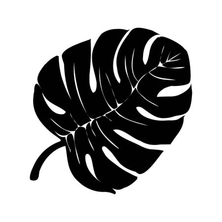 sketch of tropical leaves of hand drawn vector illustrations on white backgroundのイラスト素材