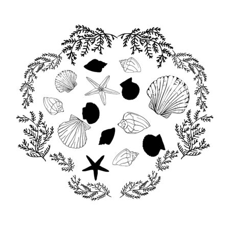Shells collection. Vector set with seashells and starfish for you designのイラスト素材