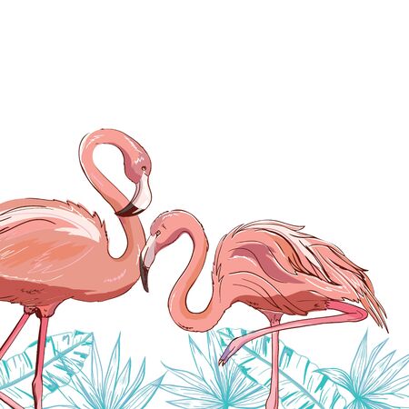 Flamingo bird illustration design on backgroundのイラスト素材