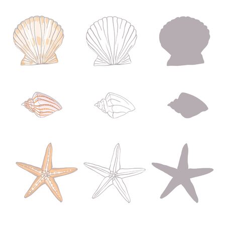 Shells collection. Vector set with seashells and starfish for you designのイラスト素材