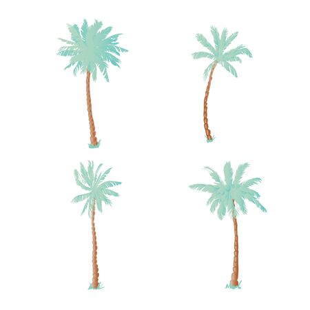 Coconut palms. Illustration on white background for designのイラスト素材