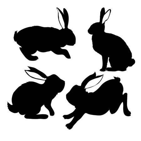 Rabbit animal silhouette, icon, vector rabbit sign symbol on white background.のイラスト素材