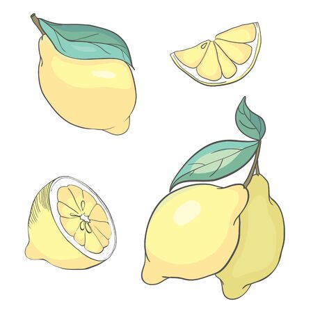 Hand drawn vector lemon whole and round slice, piece, on light backgroundのイラスト素材
