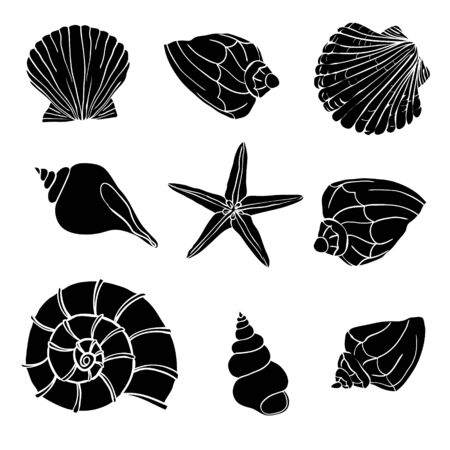 Shells collection. Vector set with seashells and starfish for you designのイラスト素材