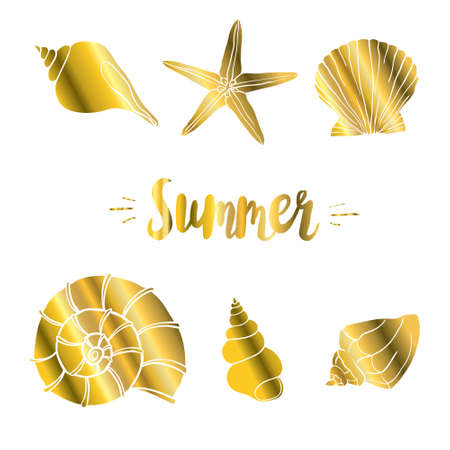 Seth seashell vector illustration isolated on white background with Golden glitter confetti texture. Pearl scallop, oceanic or marine clam shell graphic design.のイラスト素材