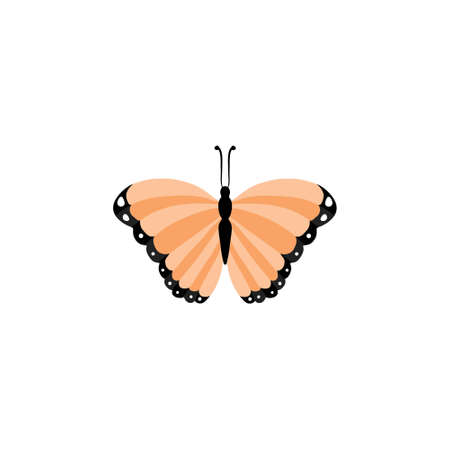 butterfly icon - Colorful Butterfly isolated, Beautiful Butterfly illustrationのイラスト素材