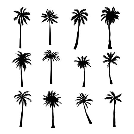 Set tropical palms and trees on white background. Vector illustration.のイラスト素材