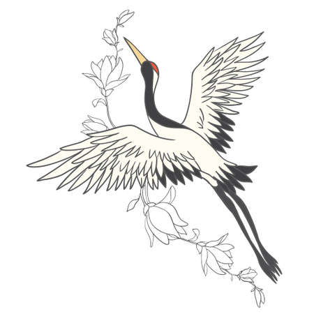 Japanese crane bird isolate on a white background. Vector graphics.のイラスト素材