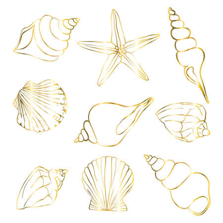 Set of gold shells, starfish on a white background.のイラスト素材