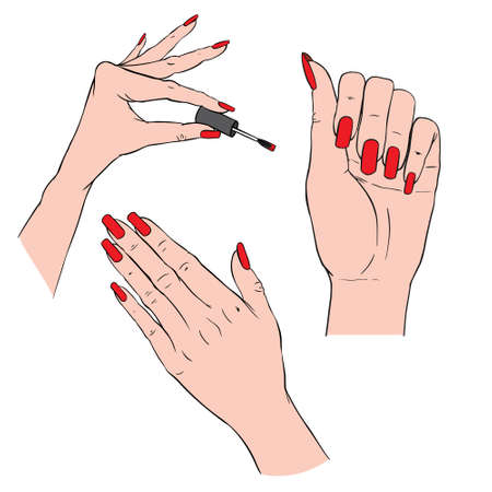 Woman hands with elegant manicure and polished nails. Nails art salon vector illustration.のイラスト素材