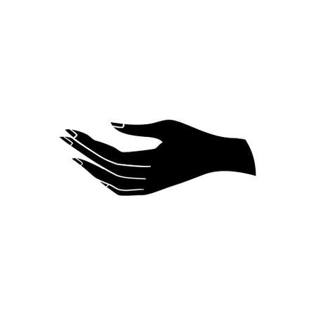 Female hands. Vector silhouette of a hand on a white backgroundのイラスト素材