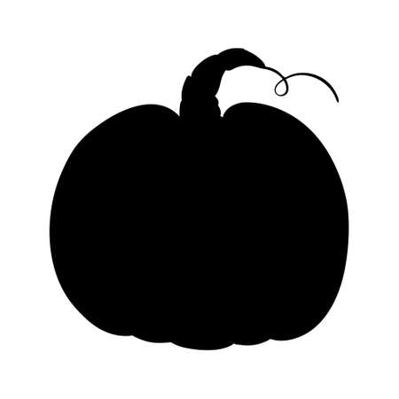Pumpkin - squash for Halloween or Thanksgiving flat vector icon for apps and websitesのイラスト素材