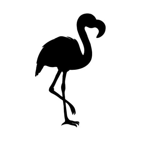Flamingo isolated. Exotic bird. Silhouette flamingo, decorative flat design element.のイラスト素材