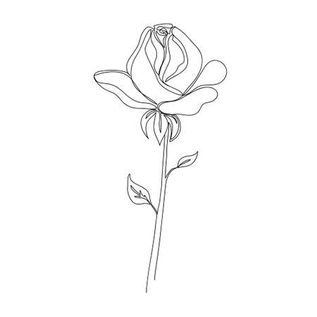Continuous single-line drawing of a rose. Black and white vector illustration of a flower.  postcard, banner, poster, flyer conceptのイラスト素材