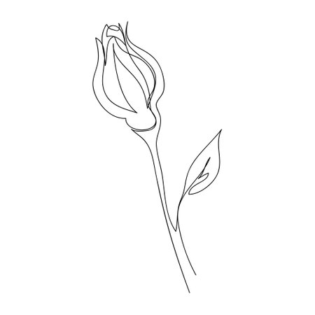 Continuous single-line drawing of a rose. Black and white vector illustration of a flower.   postcard, banner, poster, flyer conceptのイラスト素材