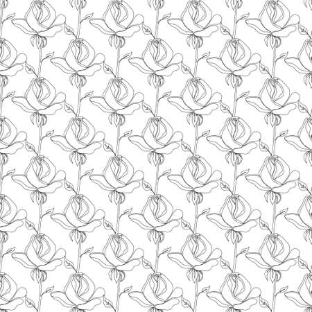 Seamless vector pattern with roses. Black and white floral background with sketch of roses.のイラスト素材