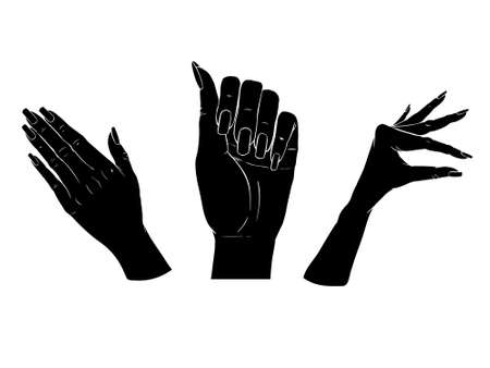 Female black silhouette hands over white background. Set vector illustrationのイラスト素材