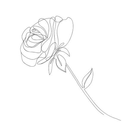 Continuous single-line drawing of a rose. Black and white vector illustration of a flower.  postcard, banner, poster, flyer conceptのイラスト素材