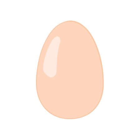 Egg. White background. Vector illustration.のイラスト素材