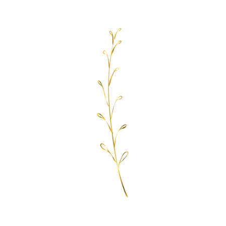 The golden sprig. Vector image with a golden twig.   Editable geometric element isolated on white.のイラスト素材