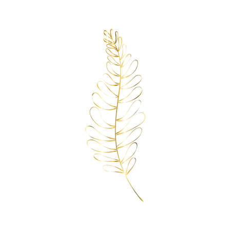 The golden sprig. Vector image with a golden twig.   Editable geometric element isolated on white.のイラスト素材