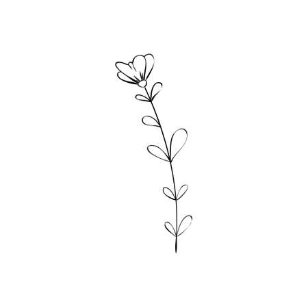 Sketch a leaf branch by hand on an isolated background. Vector, illustrationのイラスト素材
