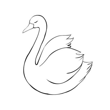 Swan sketch. Black bird isolated on a white background. illustrations vectorのイラスト素材