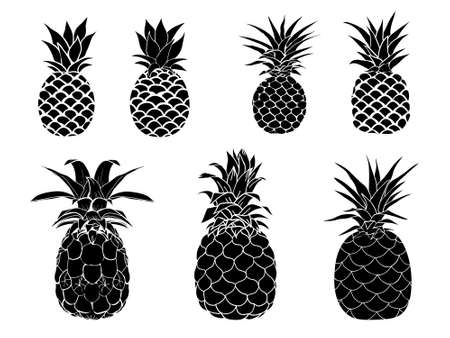 Pineapple - vector illustration of pineapple tropical fruit, black and white. Graphic pineapple image. Retro ink drawing style. Isolated on white.のイラスト素材
