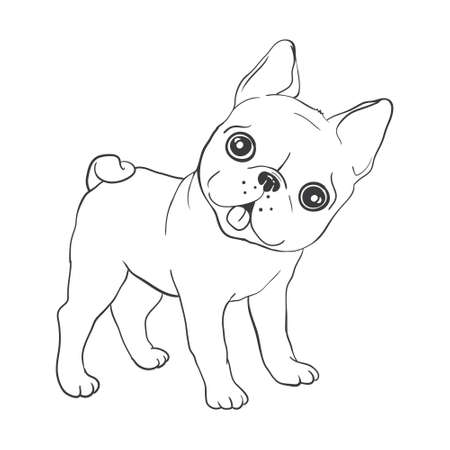 French bulldog background. Vector illustration. Dog, illustration, frenchのイラスト素材