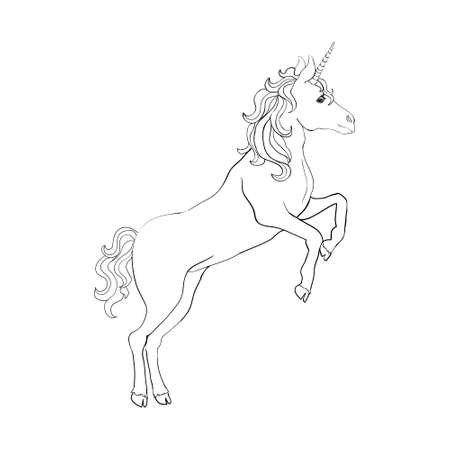 Unicorn, hand drawn vector linen illustration for logotype, coloring book, greeting card.のイラスト素材