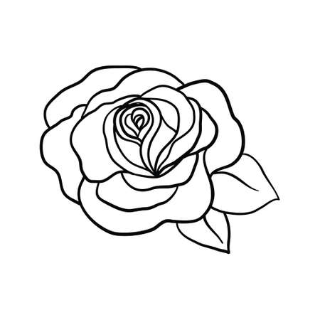 Rose sketch. Black outline on white background. Vector illustration.のイラスト素材