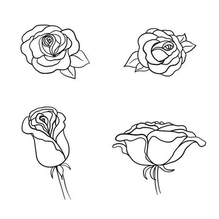 Sketch Rose Flower Set. Pencil sketch flowers with leaves on stem. Graphic emblems. Hand-drawn contour lines and strokes.のイラスト素材