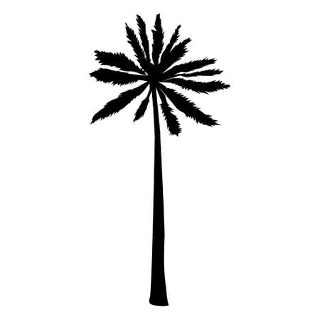 coconut palm silhouette, palm tree illustration, vector summer sign on a white backgroundのイラスト素材