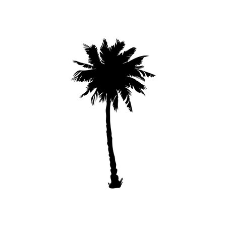 coconut palm silhouette, palm tree illustration, vector summer sign on a white backgroundのイラスト素材