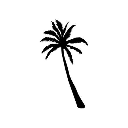 coconut palm silhouette, palm tree illustration, vector summer sign on a white backgroundのイラスト素材