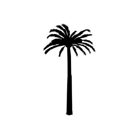 coconut palm silhouette, palm tree illustration, vector summer sign on a white backgroundのイラスト素材