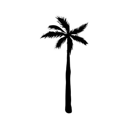 coconut palm silhouette, palm tree illustration, vector summer sign on a white backgroundのイラスト素材