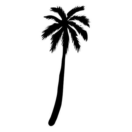 coconut palm silhouette, palm tree illustration, vector summer sign on a white backgroundのイラスト素材