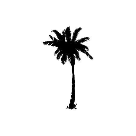 coconut palm silhouette, palm tree illustration, vector summer sign on a white backgroundのイラスト素材