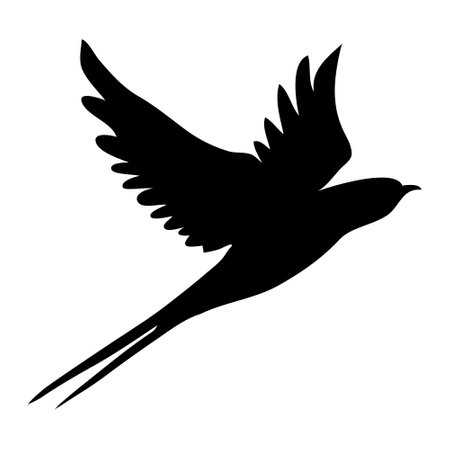 Swallow silhouette. Isolated swallow on white background. vector illustrationのイラスト素材
