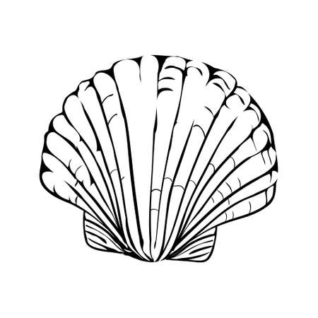 Vector illustration of a hand-drawn scribble from a seashell.のイラスト素材