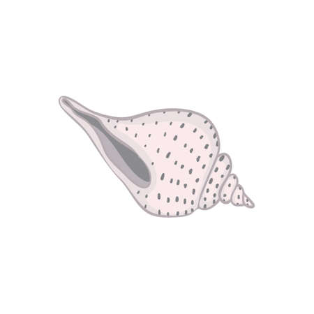 Cute sea shell on a white background Vector illustration, hand-drawn.