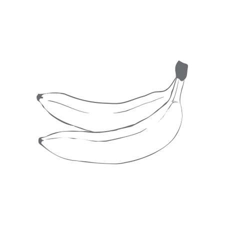 Sketch ink vintage banana illustration, draft silhouette drawing, black isolated on white background. Food graphic etching design.のイラスト素材