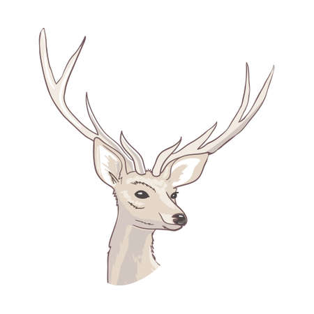 Cartoon deer - cute character for children. Vector illustration in cartoon style.のイラスト素材