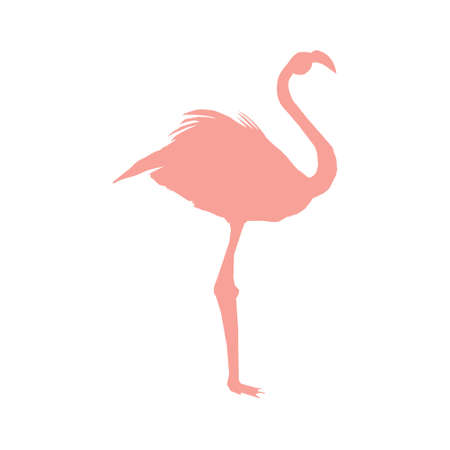 Vector image of a silhouette of a flamingo bird standing on one leg on a white background.のイラスト素材