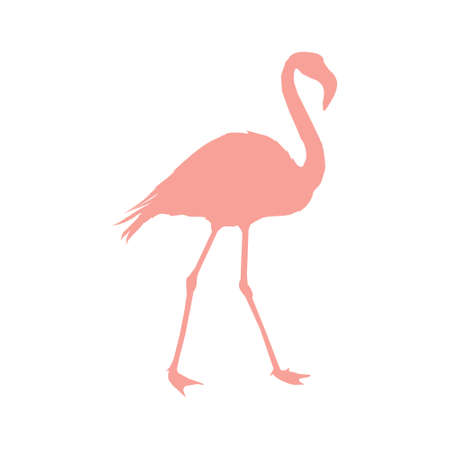Vector image of a silhouette of a flamingo bird standing on one leg on a white background.のイラスト素材