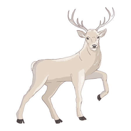 Cartoon deer - cute character for children. Vector illustration in cartoon style.のイラスト素材